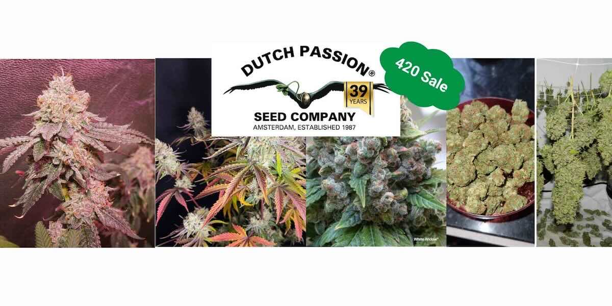 Dutch Passion 420 Deals: 30 % auf das gesamte Sortiment