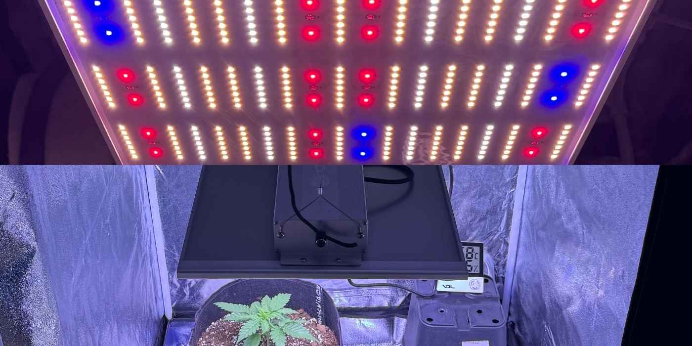 Beleuchtung für die Growbox als wichtiges Element
