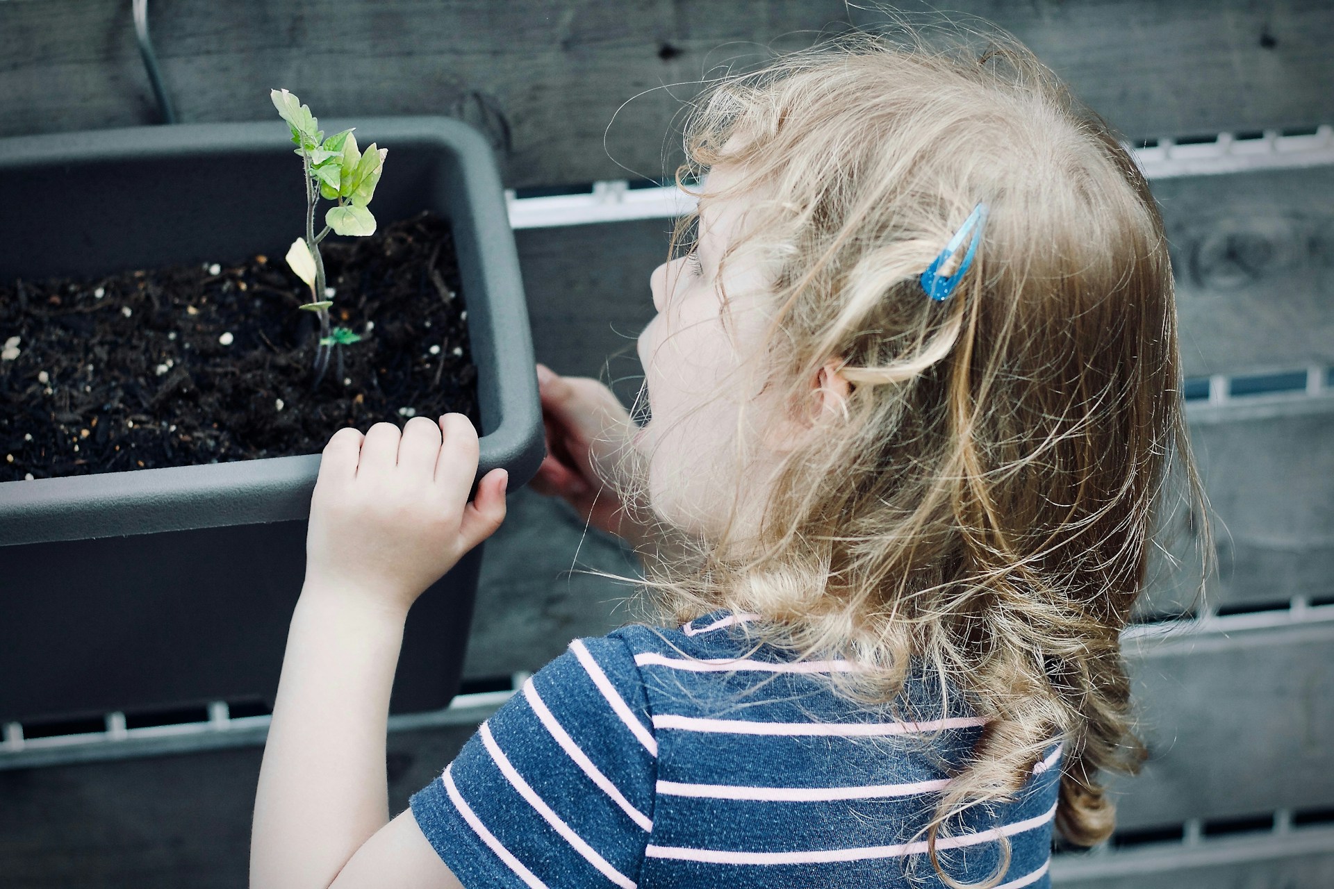 Awe, Humility, and the Renewal We Need