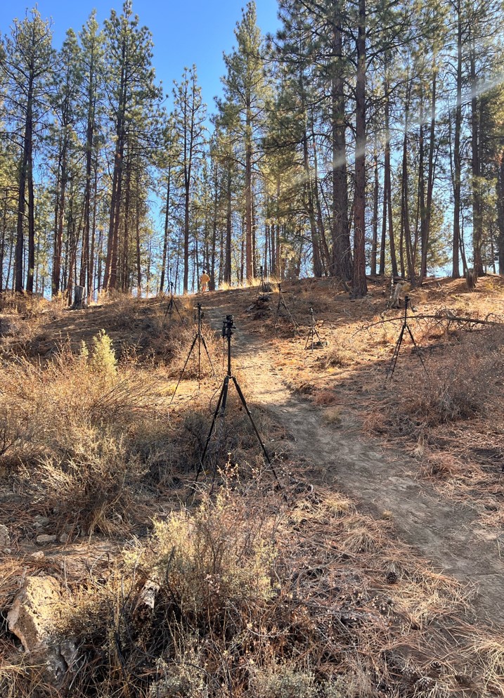 Camera setup for markerless motion capture on a forested trail during Oregon State University’s outdoor biomechanics study using Theia3D.
