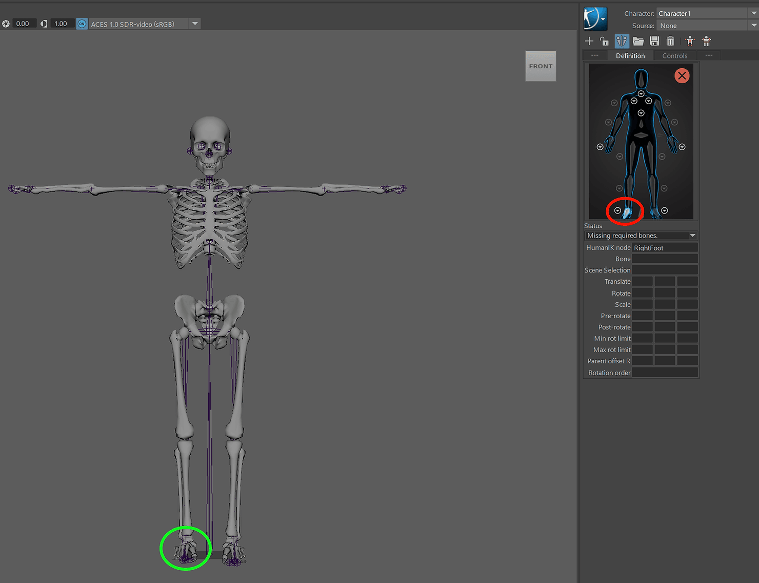 Theia3D's 17-segment skeletal model used to generate analysis-ready kinematic data from synchronized video