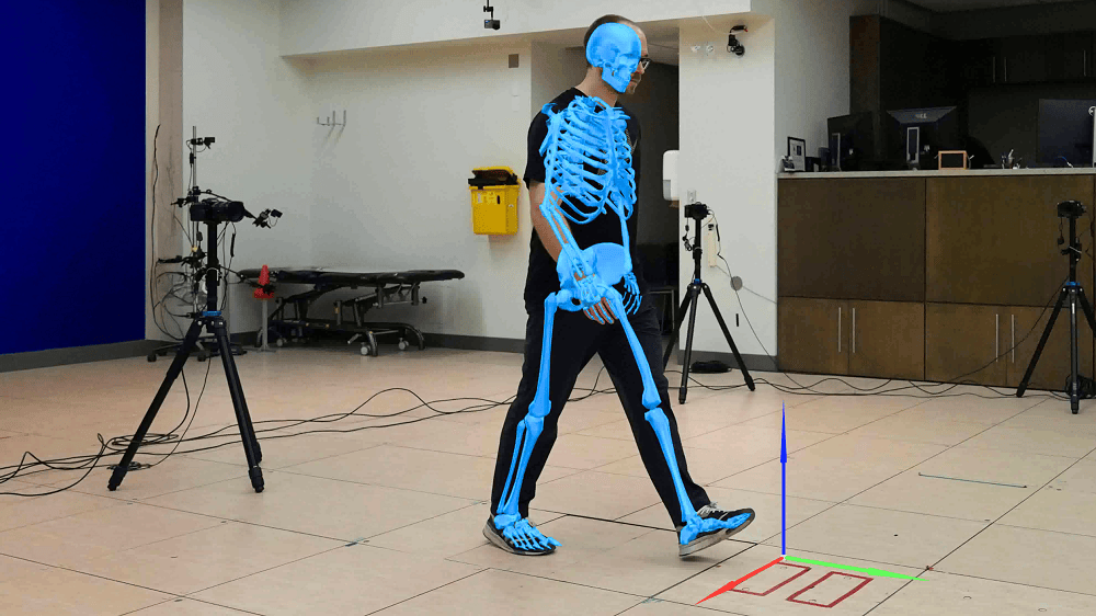 Theia3D Motion Data Skeletal Model