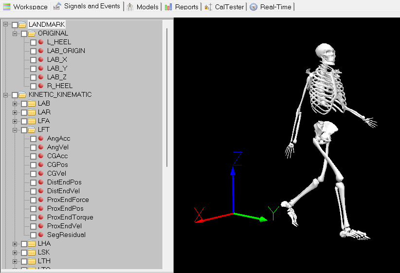 3D Skeletal Motion Tracking