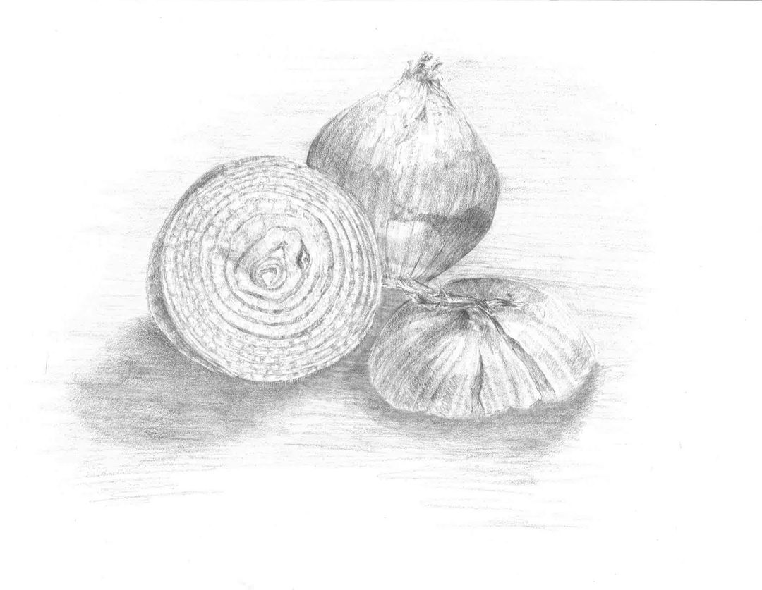 A highly realistic, detailed study of cross-sectioned onions. Each individual layer of skin and flesh is meticulously rendered to study its translucent texture and structure.