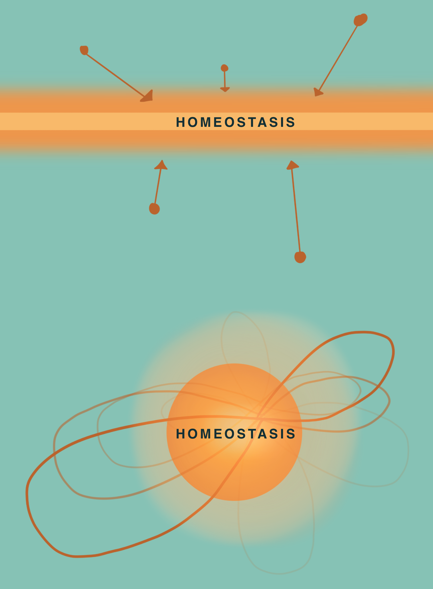 An illustration comparing two models of health. The top section shows a rigid, single horizontal line representing a population-wide "normal" standard, with vectors forcing all individuals toward it. The bottom section shows a dynamic model: a central "homeostasis sphere" represents an individual's personal baseline, with orbiting lines that constantly make small adjustments to maintain equilibrium, representing a personalized and responsive approach to health.