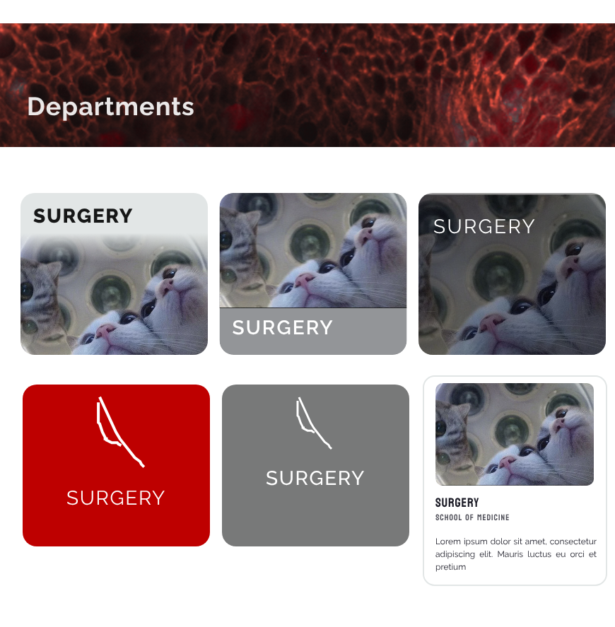 A series of department card variations using "Surgery" as a sample, testing different design ideas for presenting academic departments.