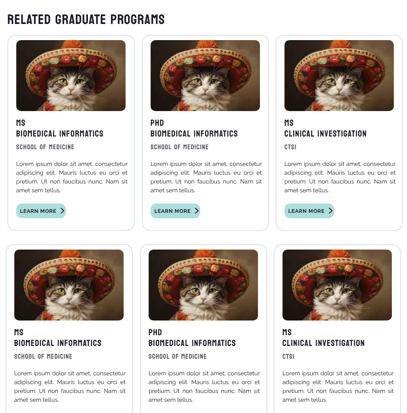 A layout showing three cards per row for related graduate programs, with each card containing an image, a title, and a program button.
