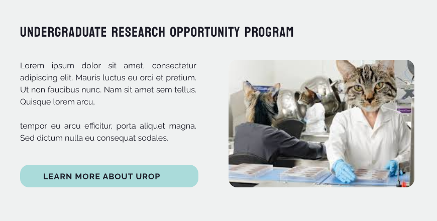 Card style for the Undergraduate Research program, with a small, contained image on the right and descriptive text on the left.