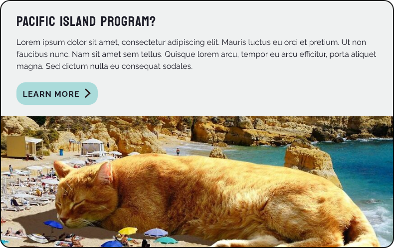 Card style for the Pacific Island program, testing a layout with a button and an image of a cat on a beach placed underneath a text section.