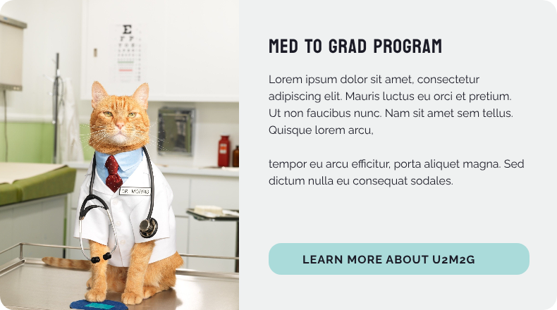 Card style for the Med to Grad program, with an image of a cat in a doctor's outfit on the left and text with a button on the right.