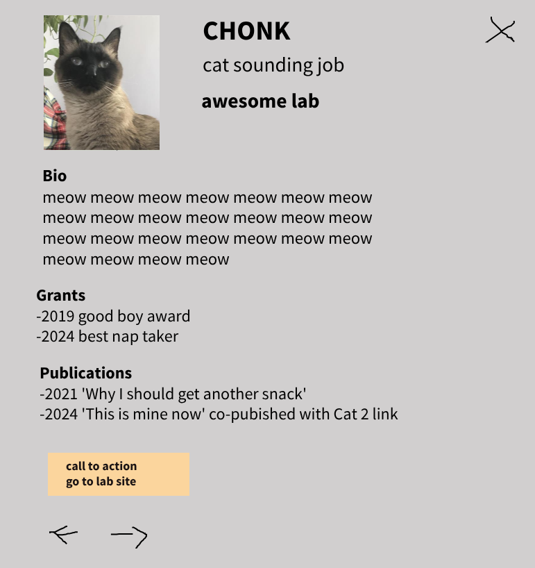 A wireframe example showing how the CMS automatically populates a design card template. It uses playful cat-themed placeholder content ("Bio: Meow meow meow," "Title: Best Nap Taker") to demonstrate the layout without distracting stakeholders.
