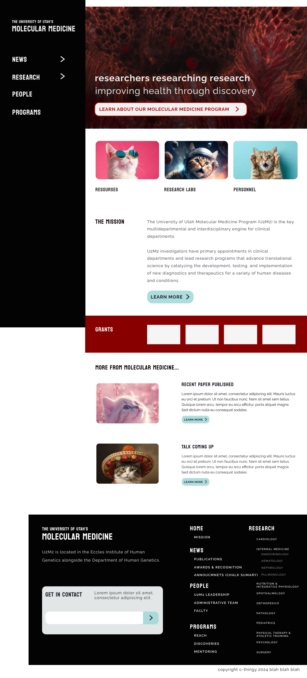 A high-fidelity homepage prototype. It uses the client's real menus and categories, combined with cat photo placeholders and "lorem ipsum." The hero section demonstrates a clear, confident value proposition: "Researchers Researching Research" with the sub-headline "Improving Health Through Discovery," directly addressing the problem of unclear messaging.