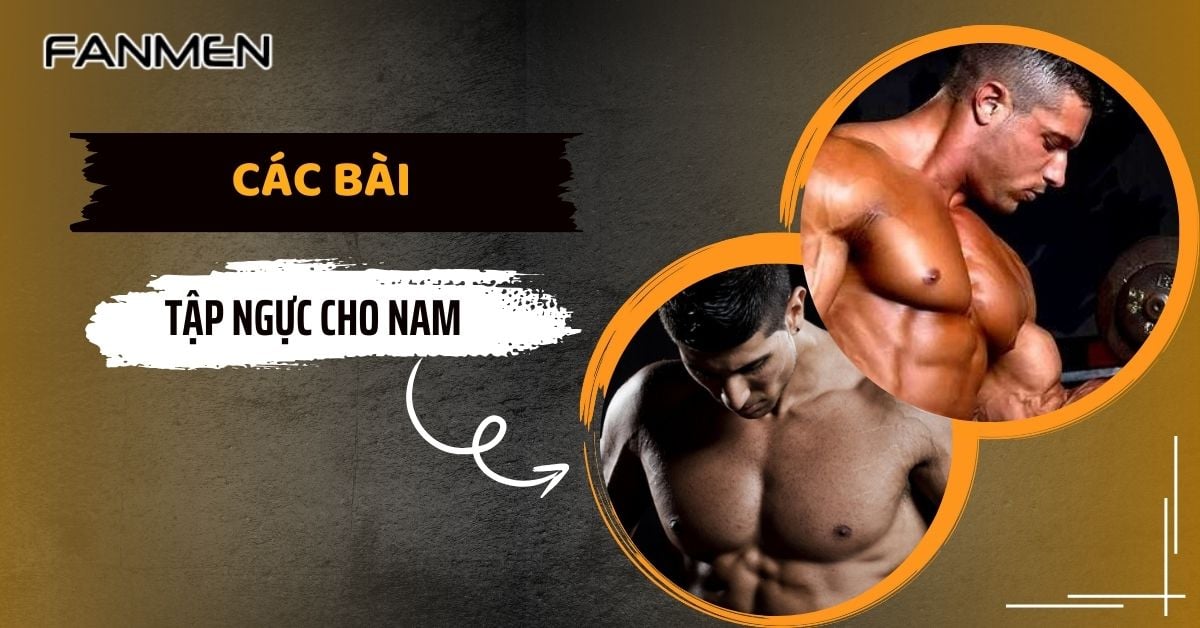 List Các Bài Tập Ngực Cho Nam: Xây Dựng Cơ Ngực Vạm Vỡ