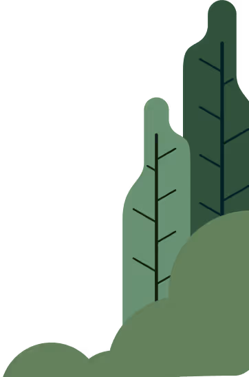 seervice section leaf image