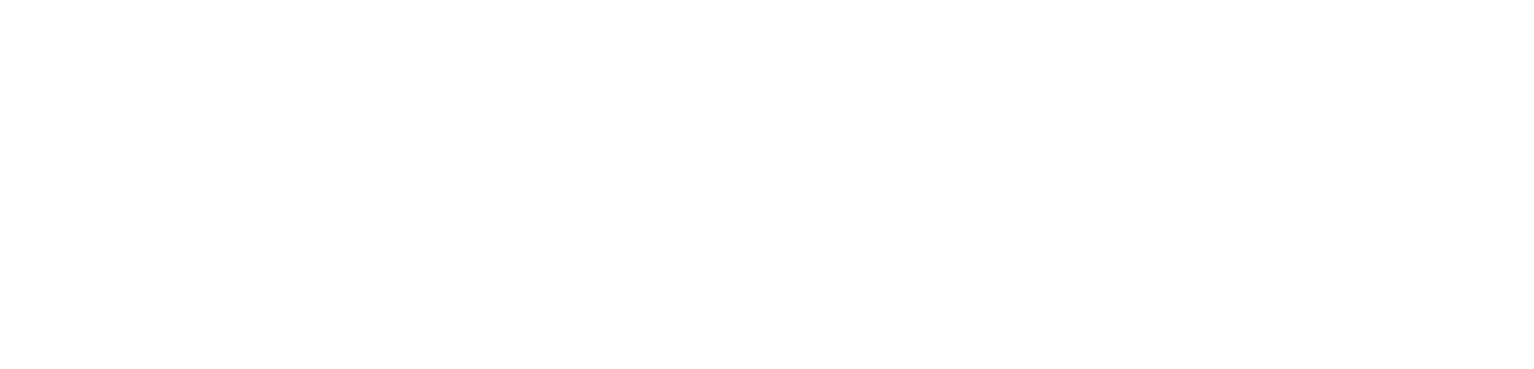 Brnad Logo
