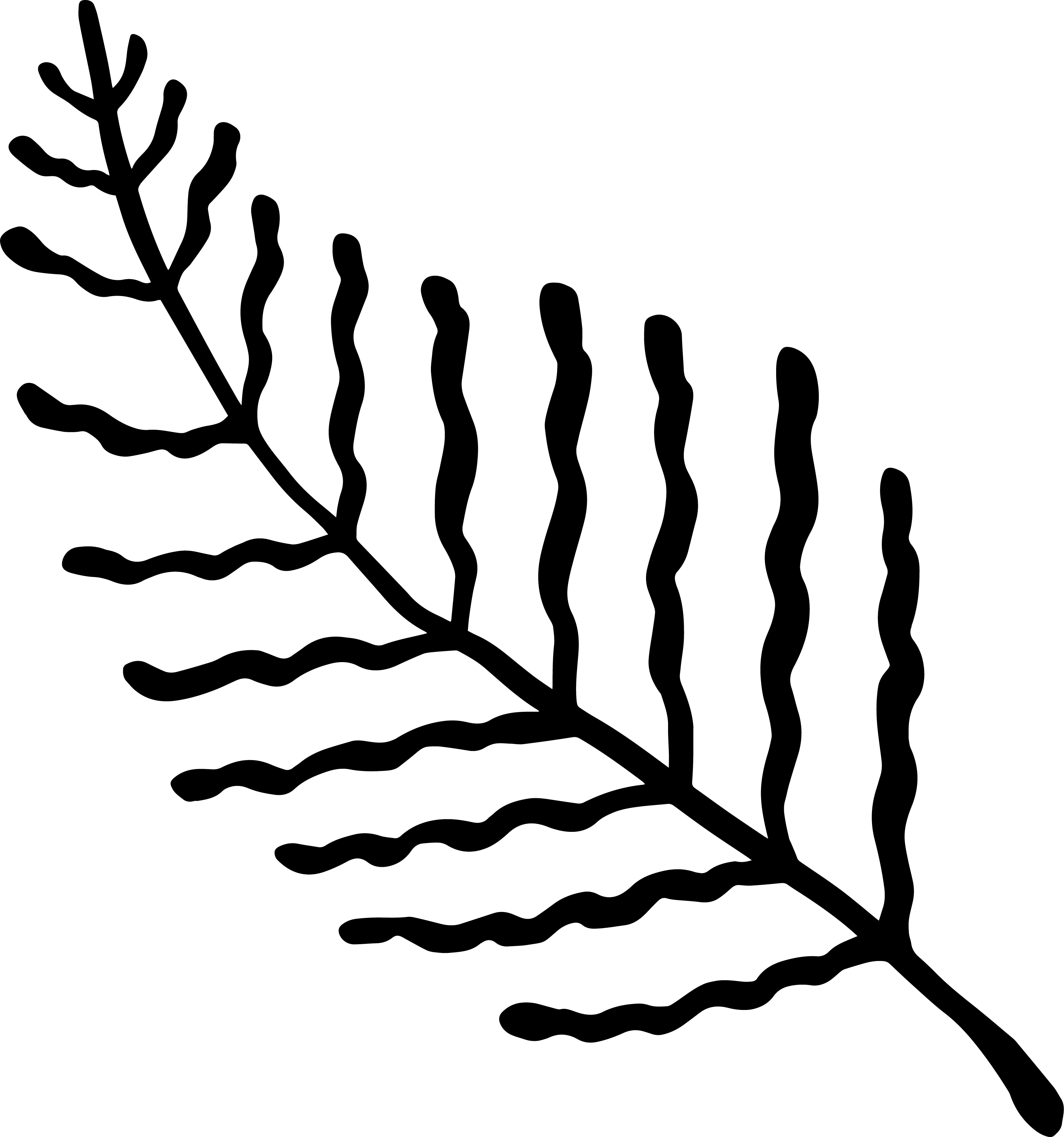 Black outline of a seaweed branch with multiple wavy fronds extending from the central stem.