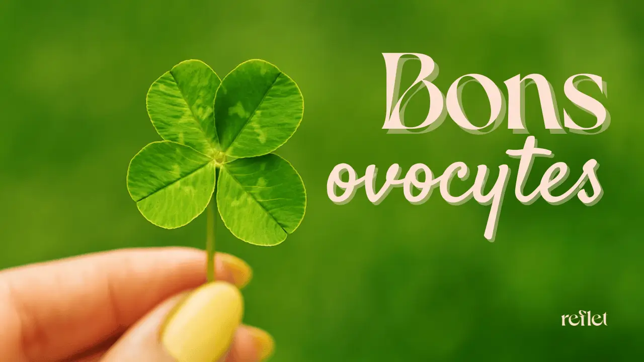 améliorer naturellement la qualité des ovocytes