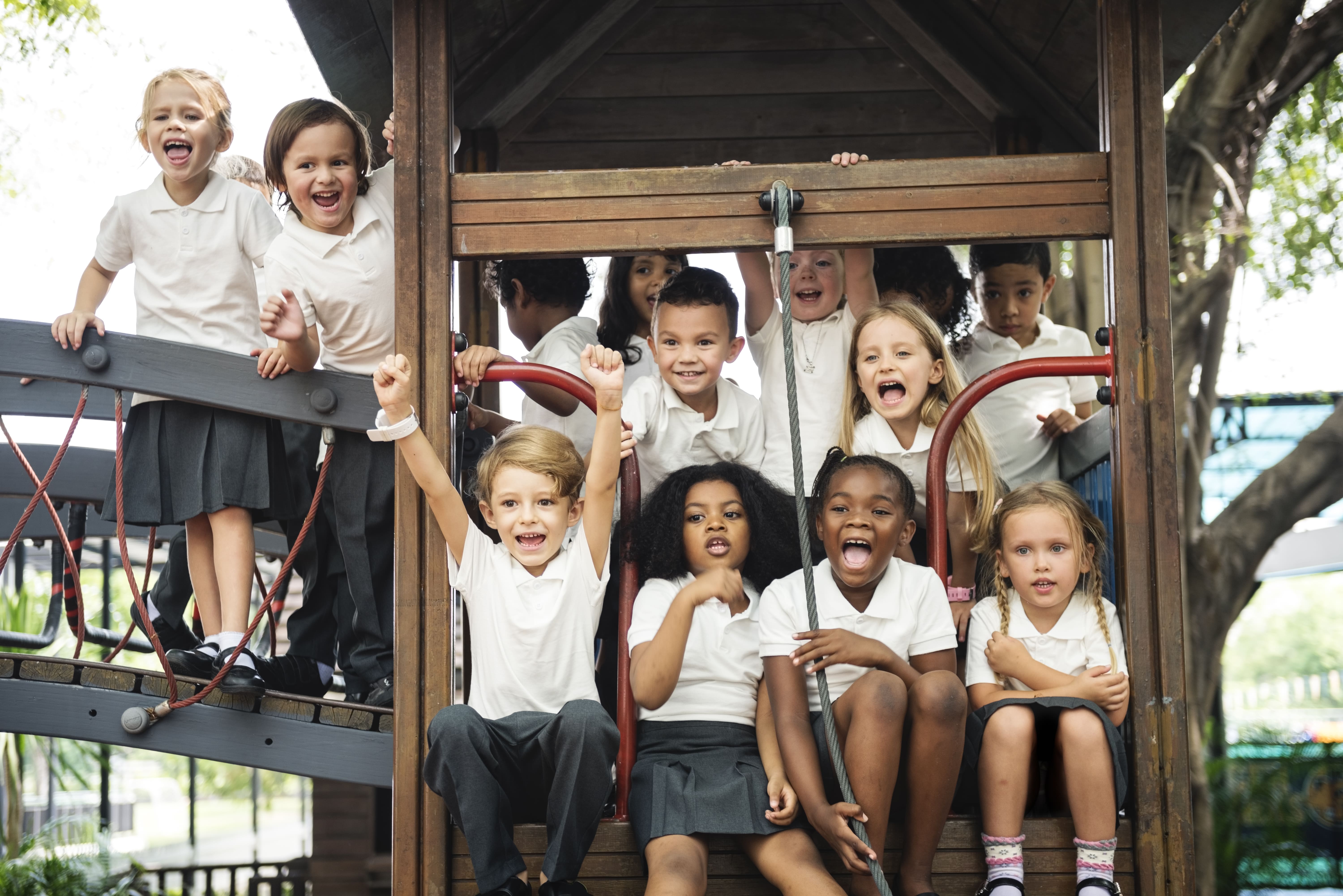 Diverse group of smiling and excited elementary school students playing on a playground structure, symbolizing a vibrant and engaging learning environment in charter schools