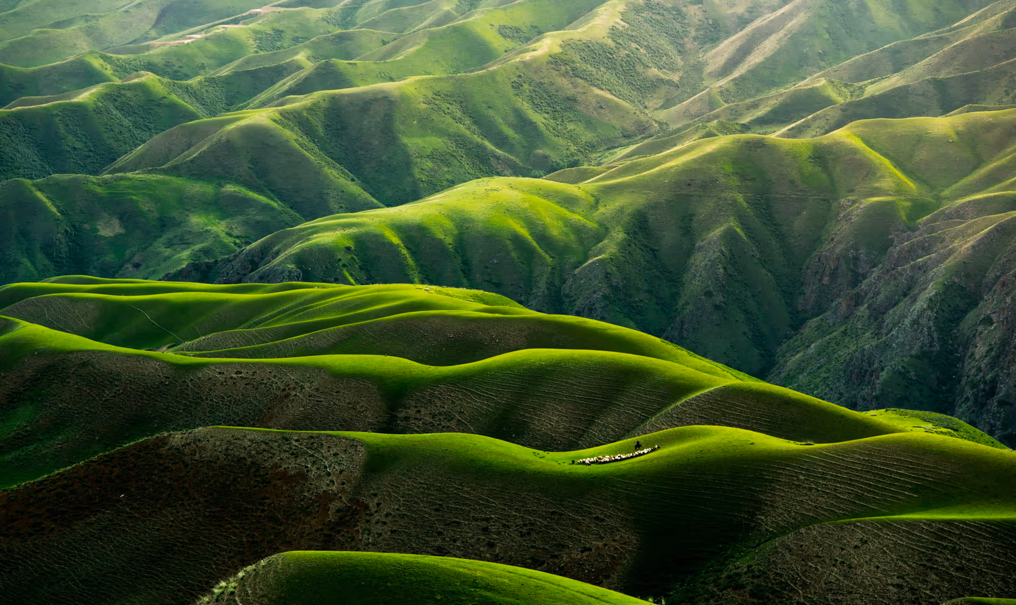 Global coverage image - Reach