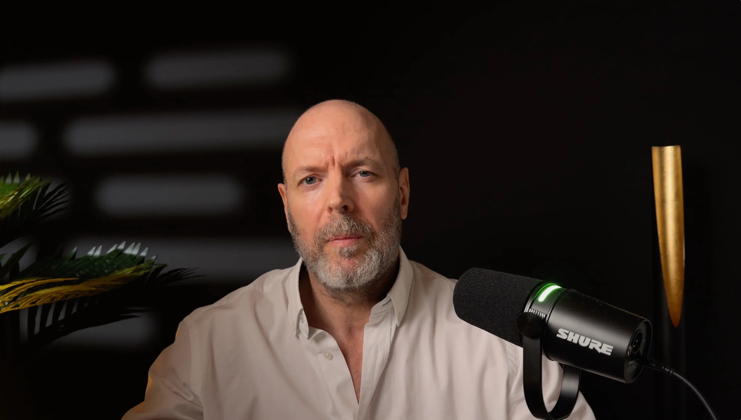 David Mocq, voyant professionnel