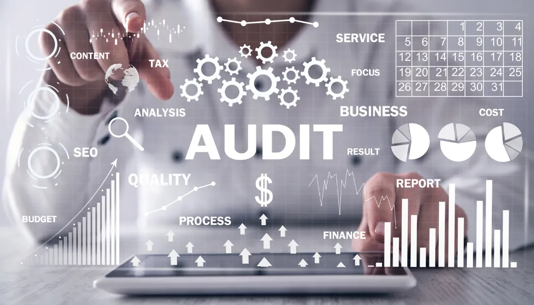 How Fraxtional Supports Internal Audits?