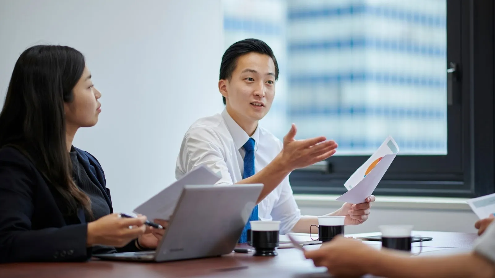 Risks, Limitations & Mitigation