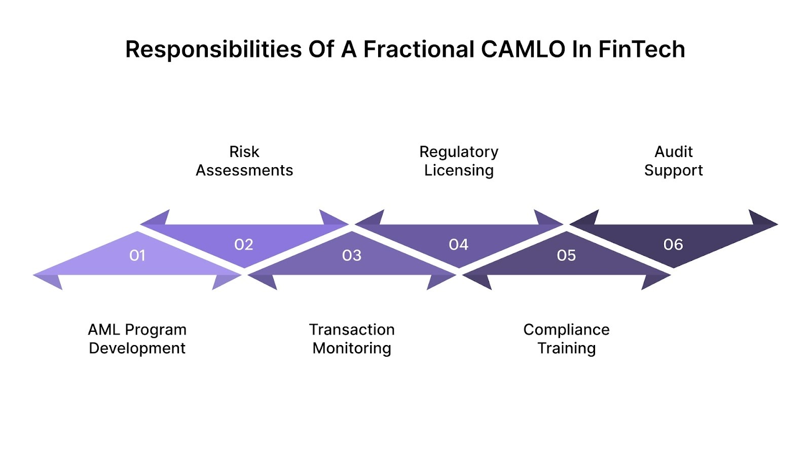 Essential Responsibilities of a Fractional CAMLO in FinTech