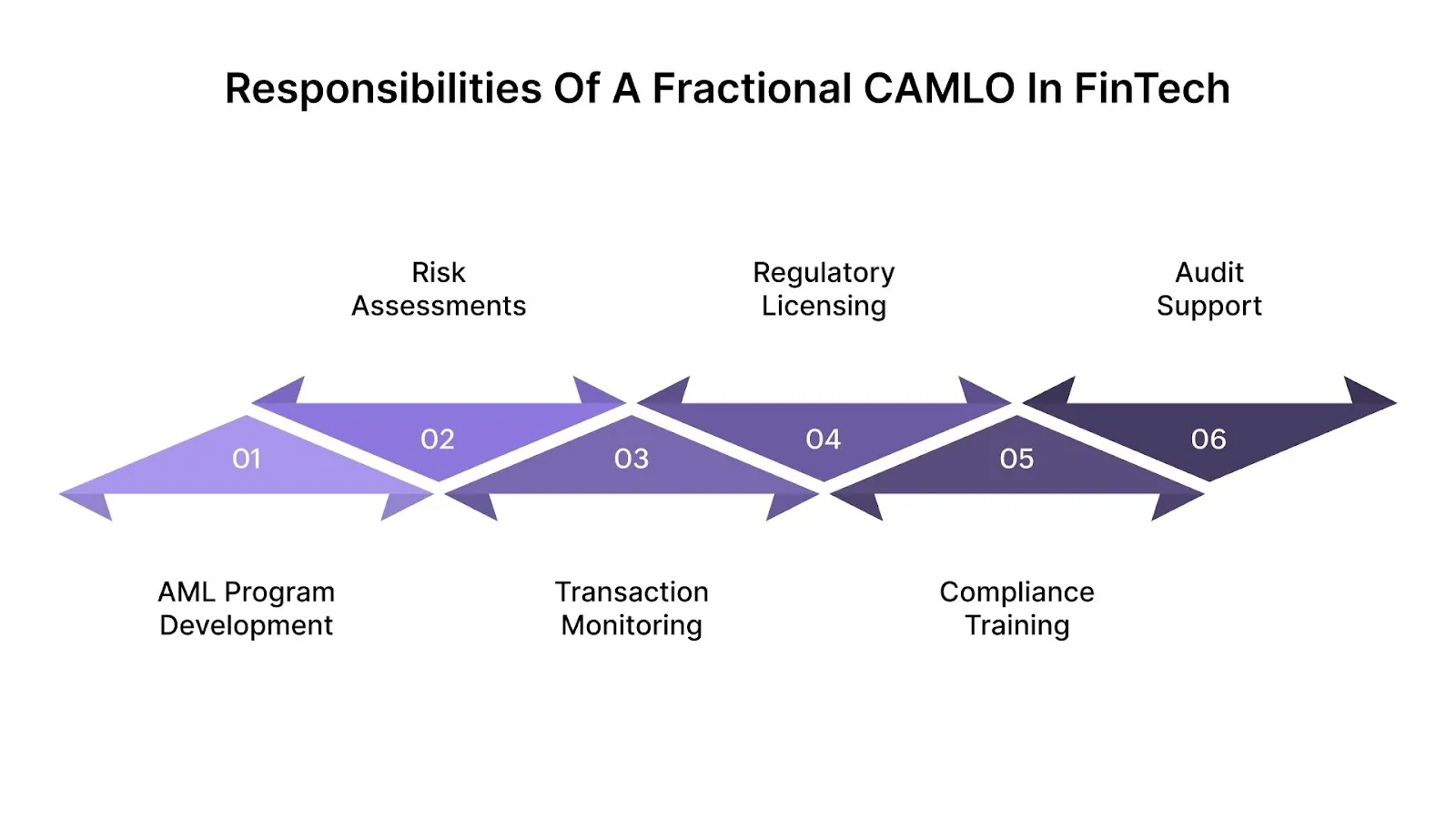 Essential Responsibilities of a Fractional CAMLO in FinTech