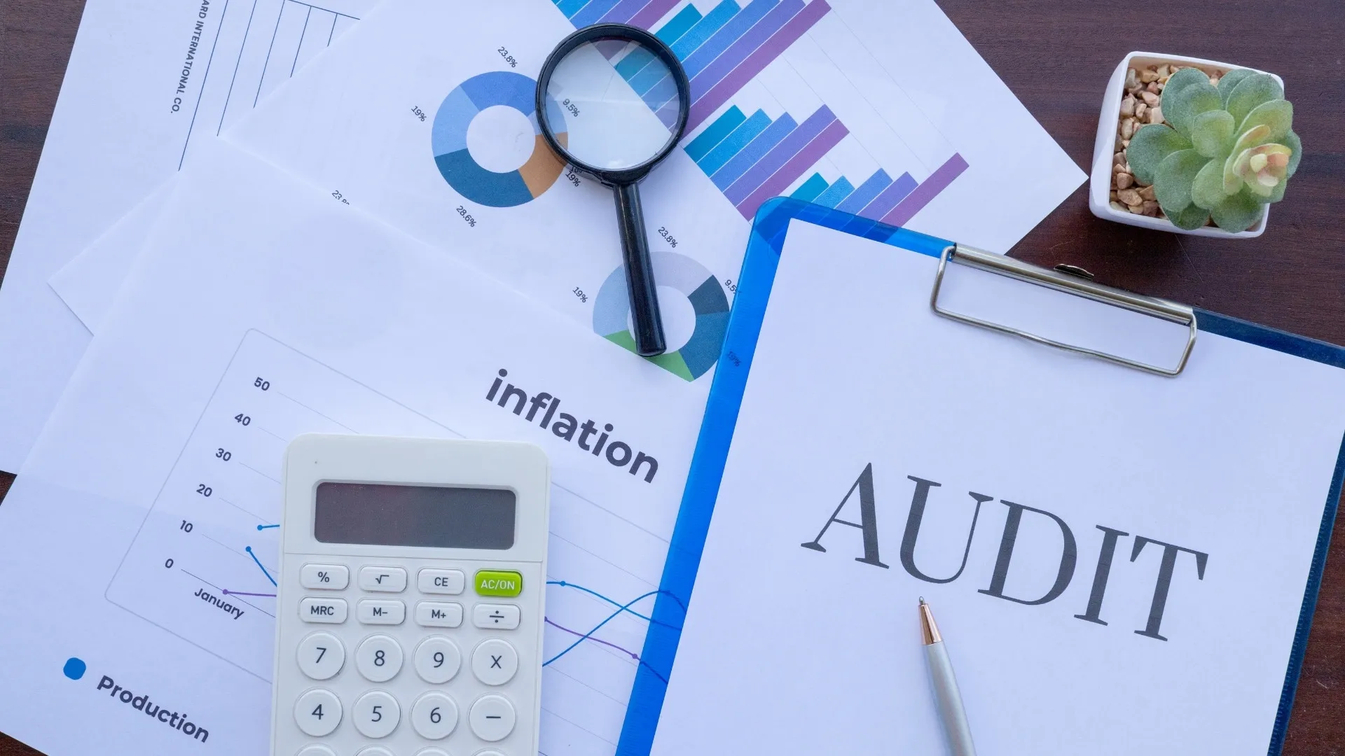 Vendor Audit Guide: Key 5 Step Process and  Controls That Drive Approval