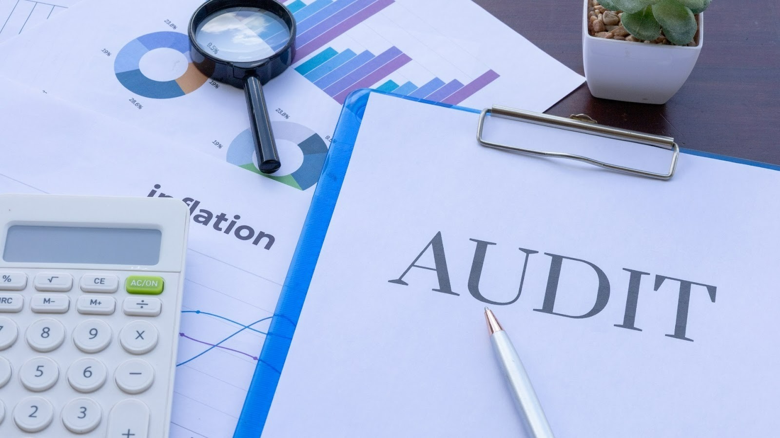 What is an Internal Audit?