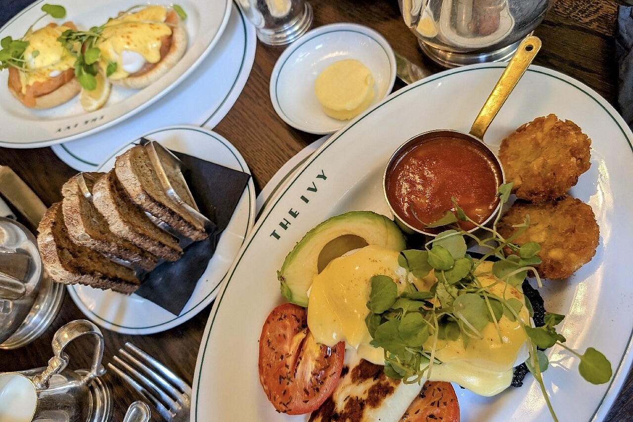 The Ivy 