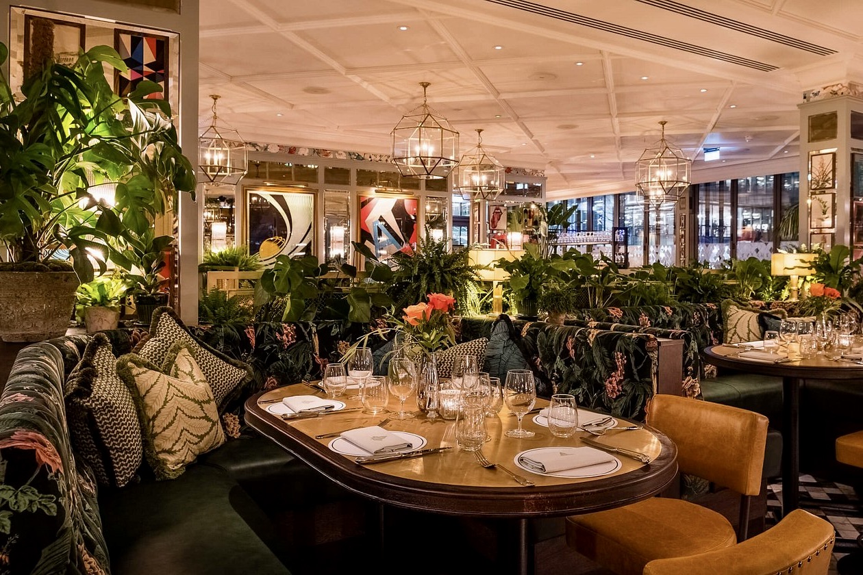 The Ivy