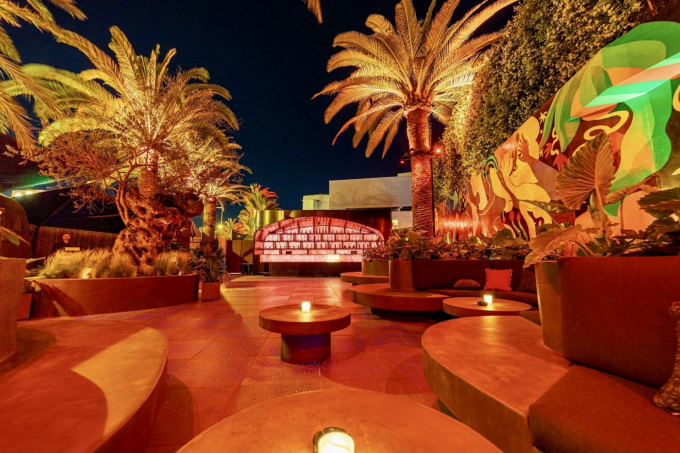 Pacha