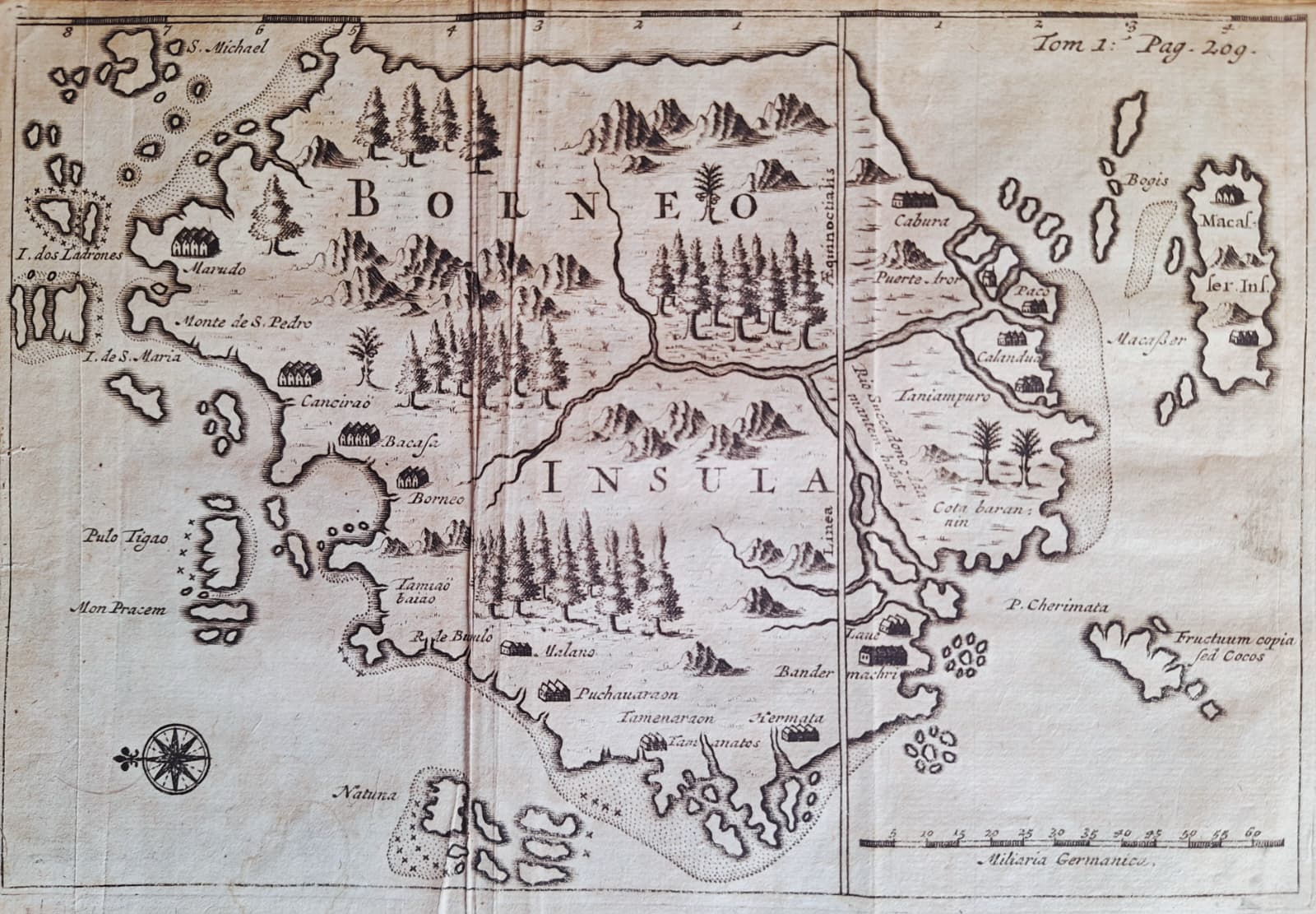 Borneo Insula 