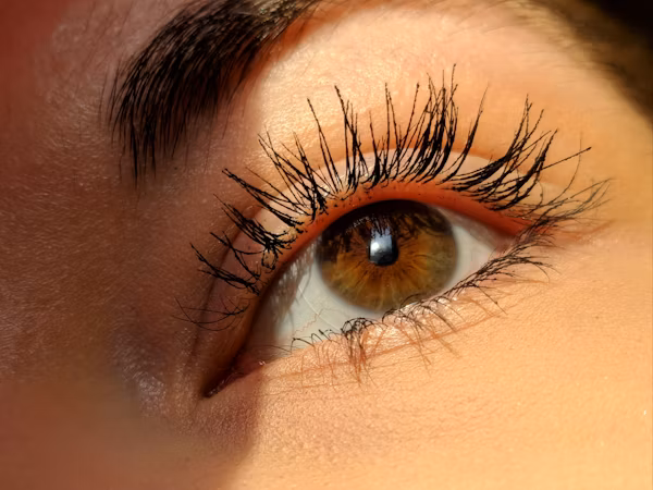 Best Mascara Brands for 2025 