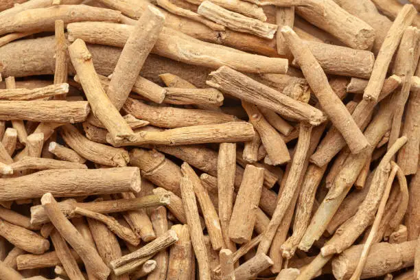 What Is the Best Time to Take Ashwagandha?