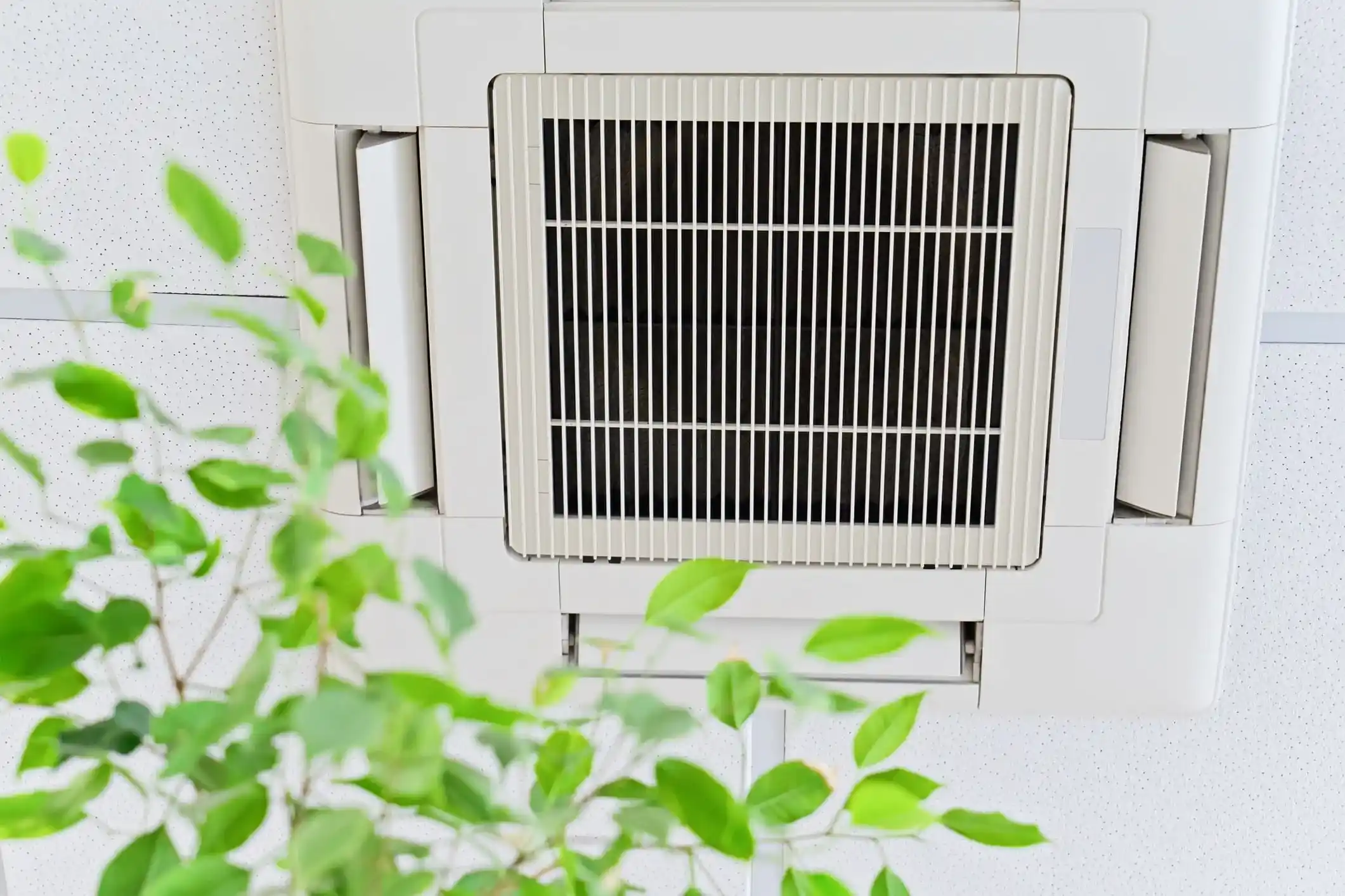 A white, modern air purifier with a circular grille on top sits on a light wooden floor next to a small, dark wooden side table with a potted plant.