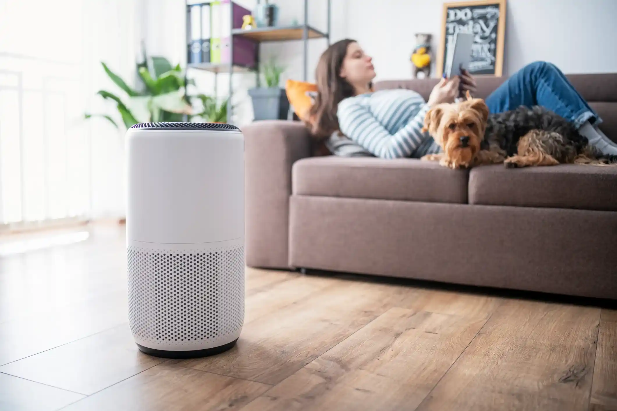 A modern white air purifier stands prominently on a light wooden floor in the foreground, while in the background, a person relaxes on a brown sofa with two small dogs.