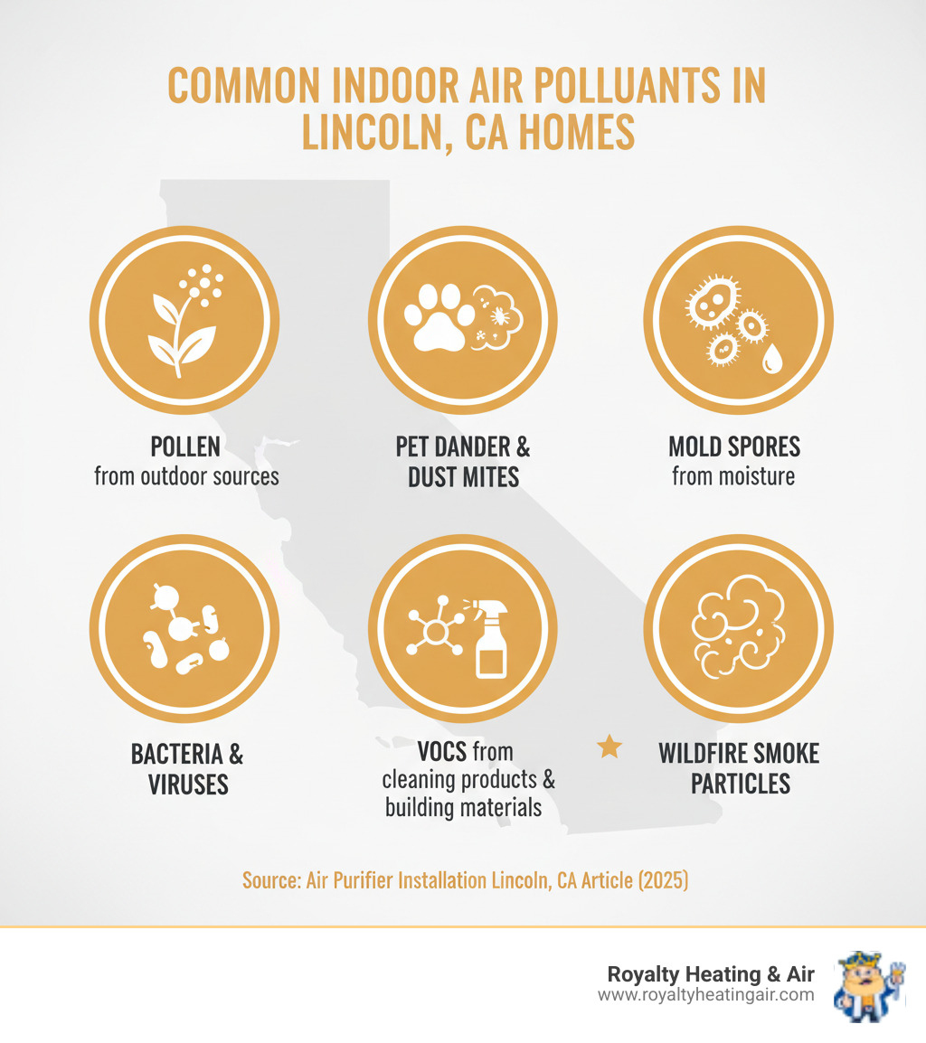 infographic showing common indoor air pollutants in lincoln ca homes including pollen from outdoor sources, pet dander and dust mites, mold spores from moisture, bacteria and viruses, vocs from cleaning products and building materials, and wildfire smoke particles, with icons representing each pollutant type - air purifier installation lincoln ca infographic 