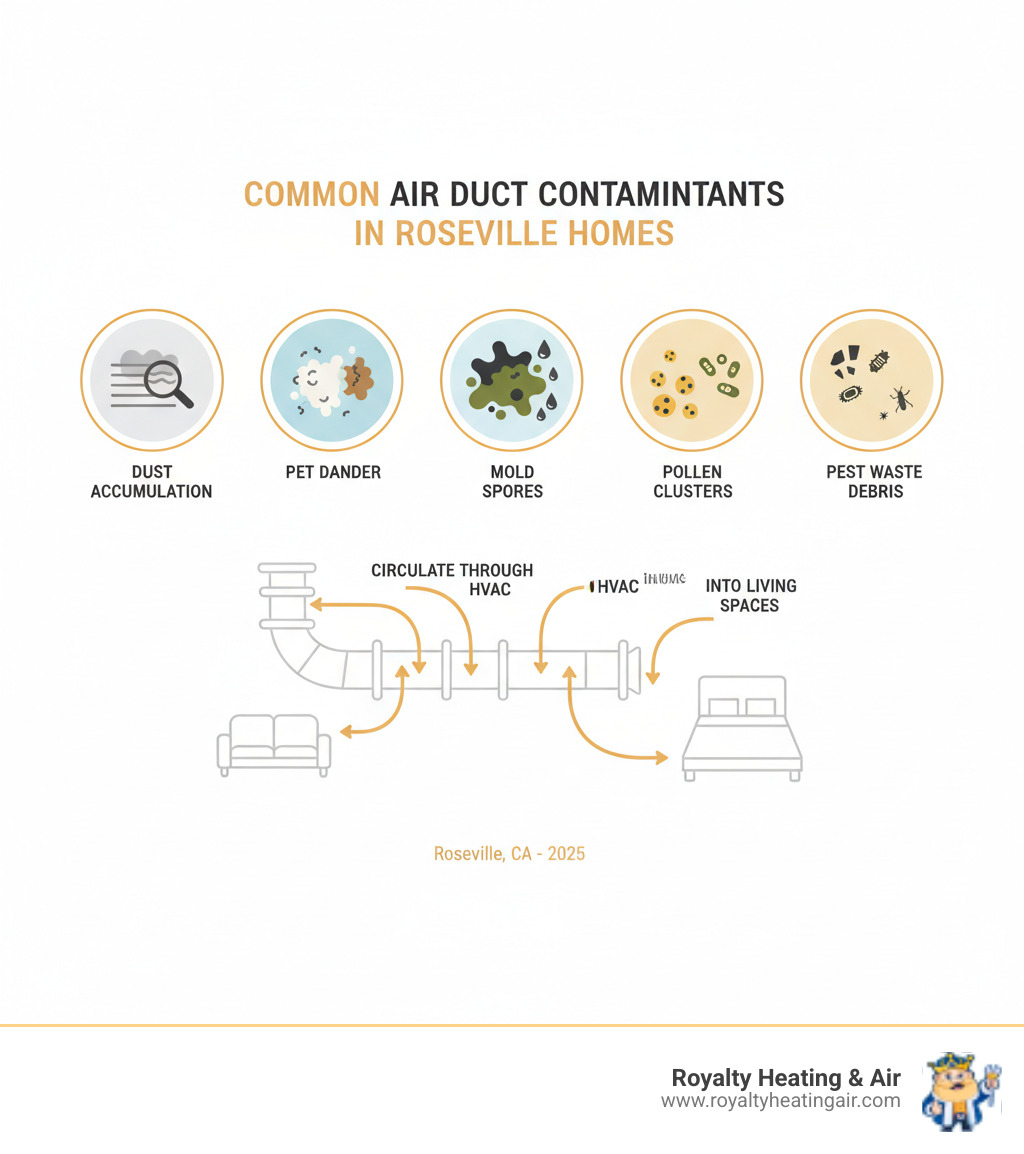 Infographic showing common air duct contaminants in Roseville homes including layers of dust accumulation, pet dander particles, mold spores in dark corners, pollen clusters, bacteria and viruses microscopic view, and pest waste debris, with arrows indicating how these circulate through the HVAC system into living spaces - duct sanitization roseville ca infographic  Infographic showing common air duct contaminants in Roseville homes including layers of dust accumulation, pet dander particles, mold spores in dark corners, pollen clusters, bacteria and viruses microscopic view, and pest waste debris, with arrows indicating how these circulate through the HVAC system into living spaces - duct sanitization roseville ca infographic