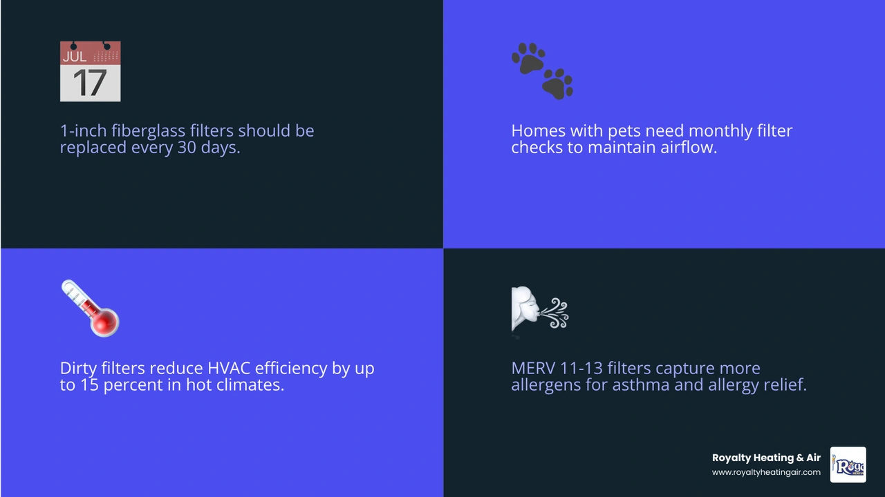 Infographic showing HVAC filter types and their replacement schedules from monthly to annually infographic