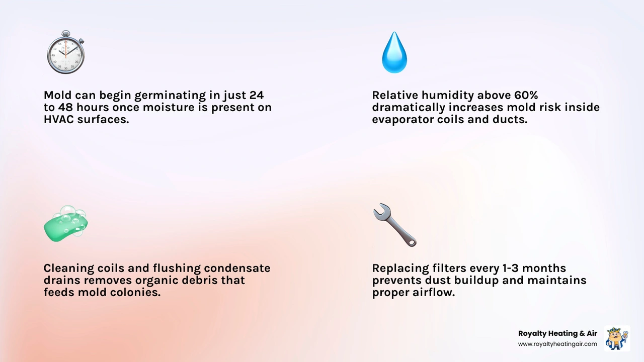 Infographic showing 24-48 hour mold germination cycle, humidity risk levels, and top HVAC maintenance tasks to prevent mold Infographic showing 24-48 hour mold germination cycle, humidity risk levels, and top HVAC maintenance tasks to prevent mold