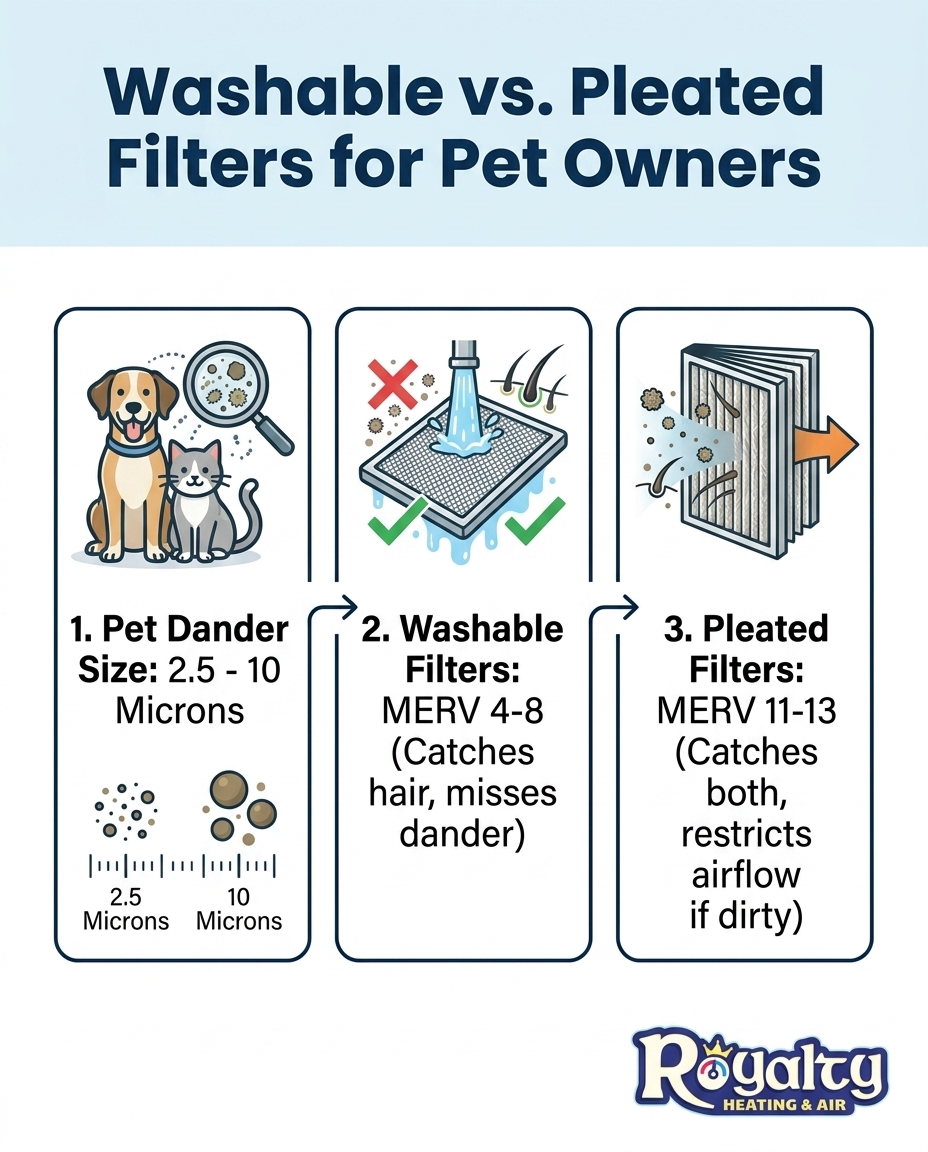 Washable vs. Pleated Filters for Pet Owners