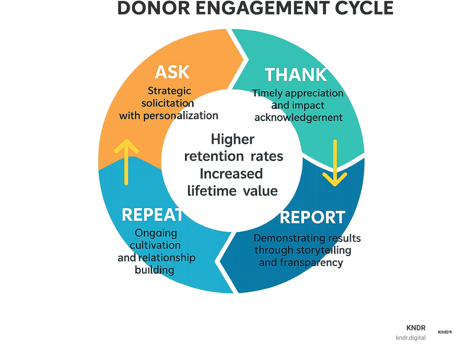 Infographic showing the donor engagement cycle with four connected stages: Ask (strategic solicitation with personalization), Thank (timely appreciation and impact acknowledgment), Report (demonstrating results through storytelling and transparency), and Repeat (ongoing cultivation and relationship building). Each stage shows key benefits like higher retention rates, increased lifetime value, and stronger donor relationships. - nonprofit donor engagement infographic 