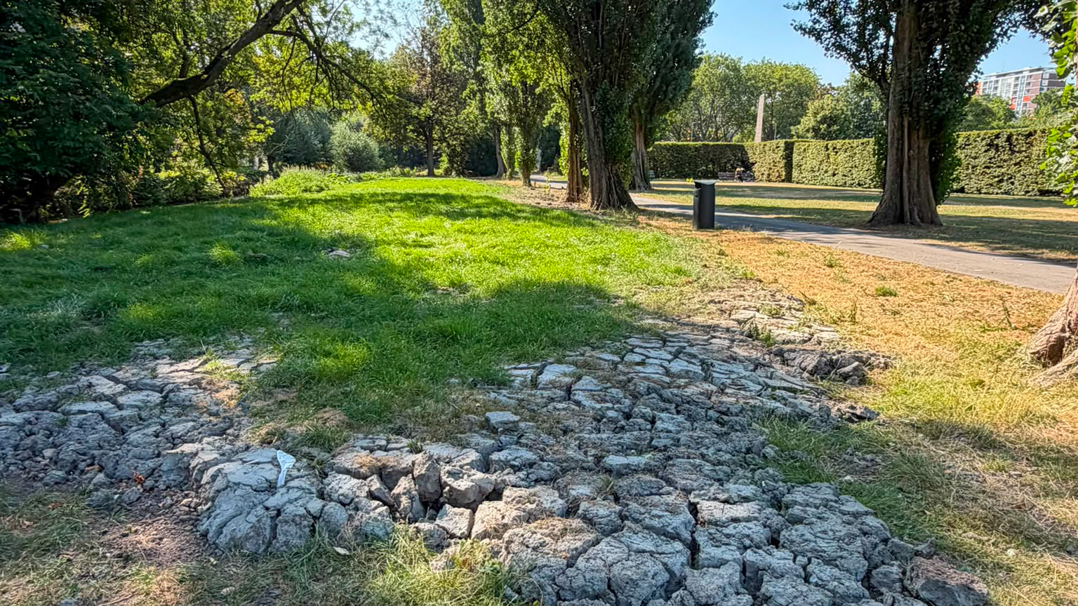 Grasveld in een park met deels droge, gebarsten grond op de voorgrond, omringd door bomen en een wandelpad.