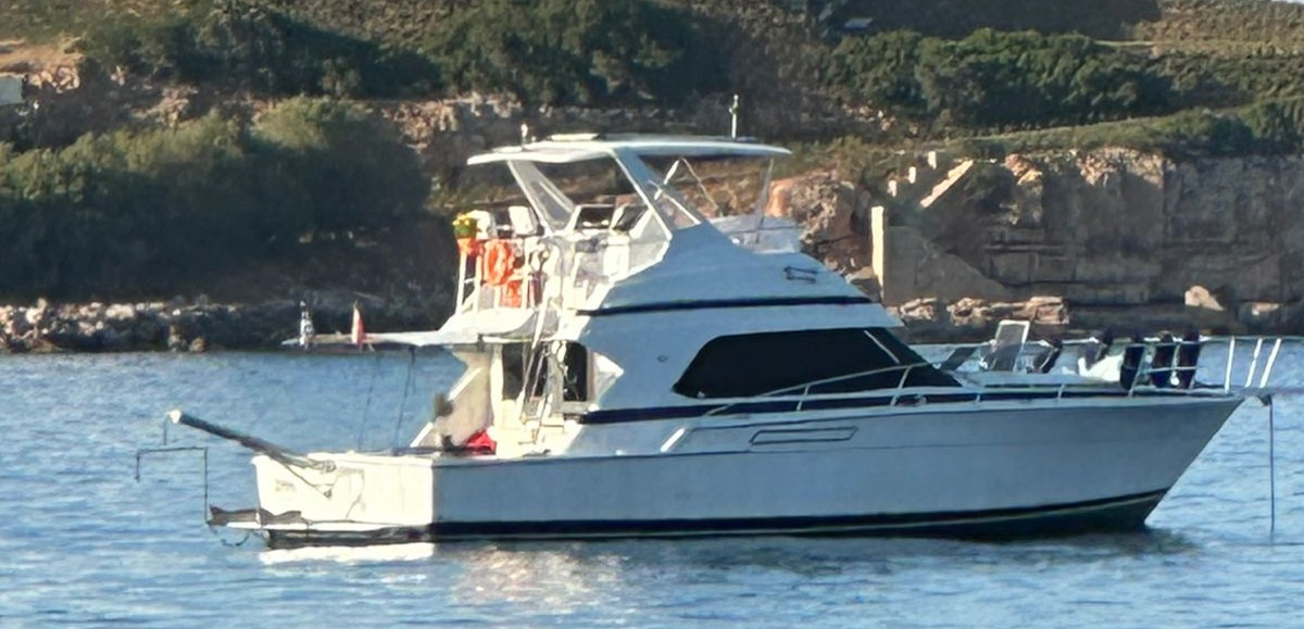 Bertram 43