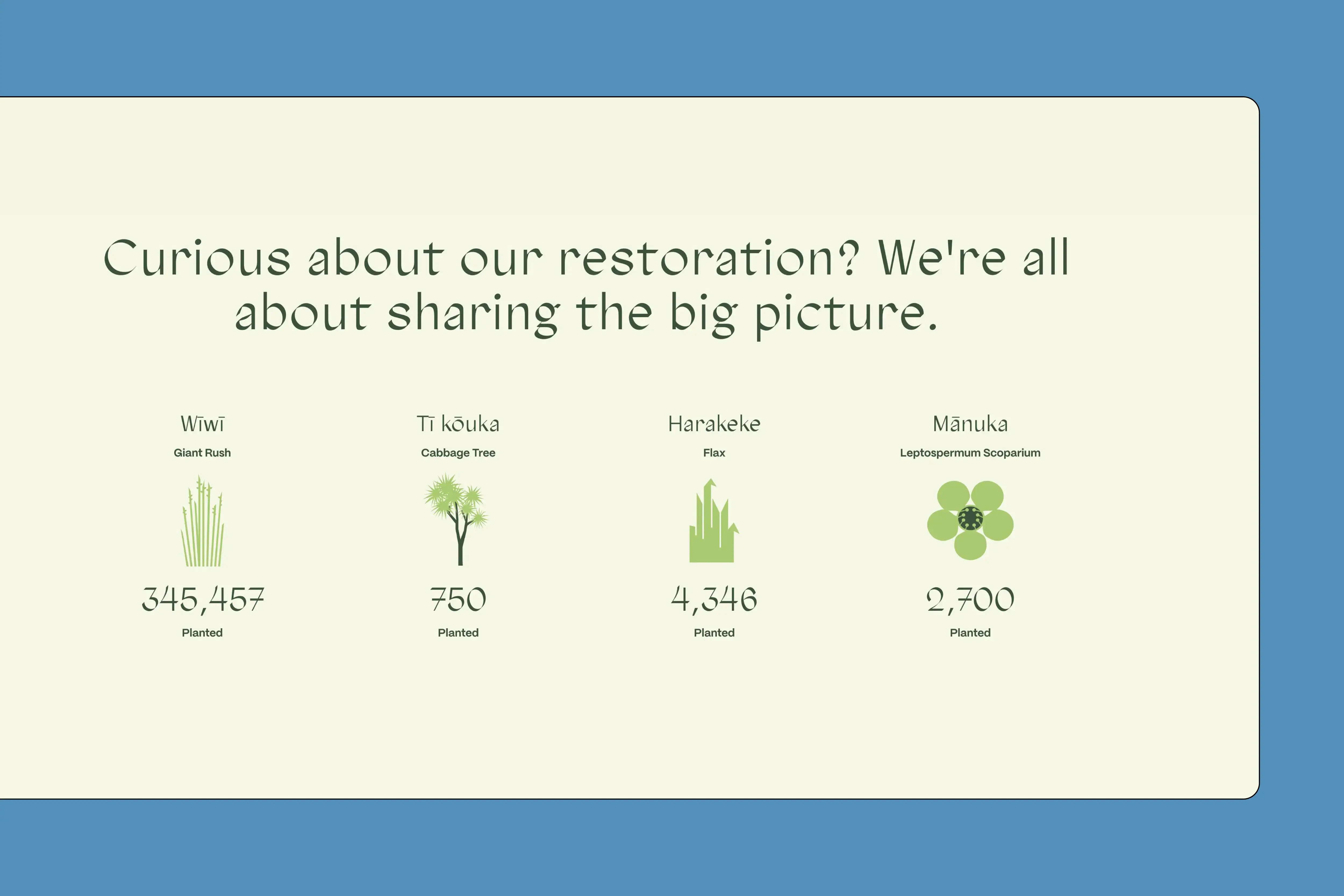 GSAP animations were used on the Parahamuti website to help portray key story elements.