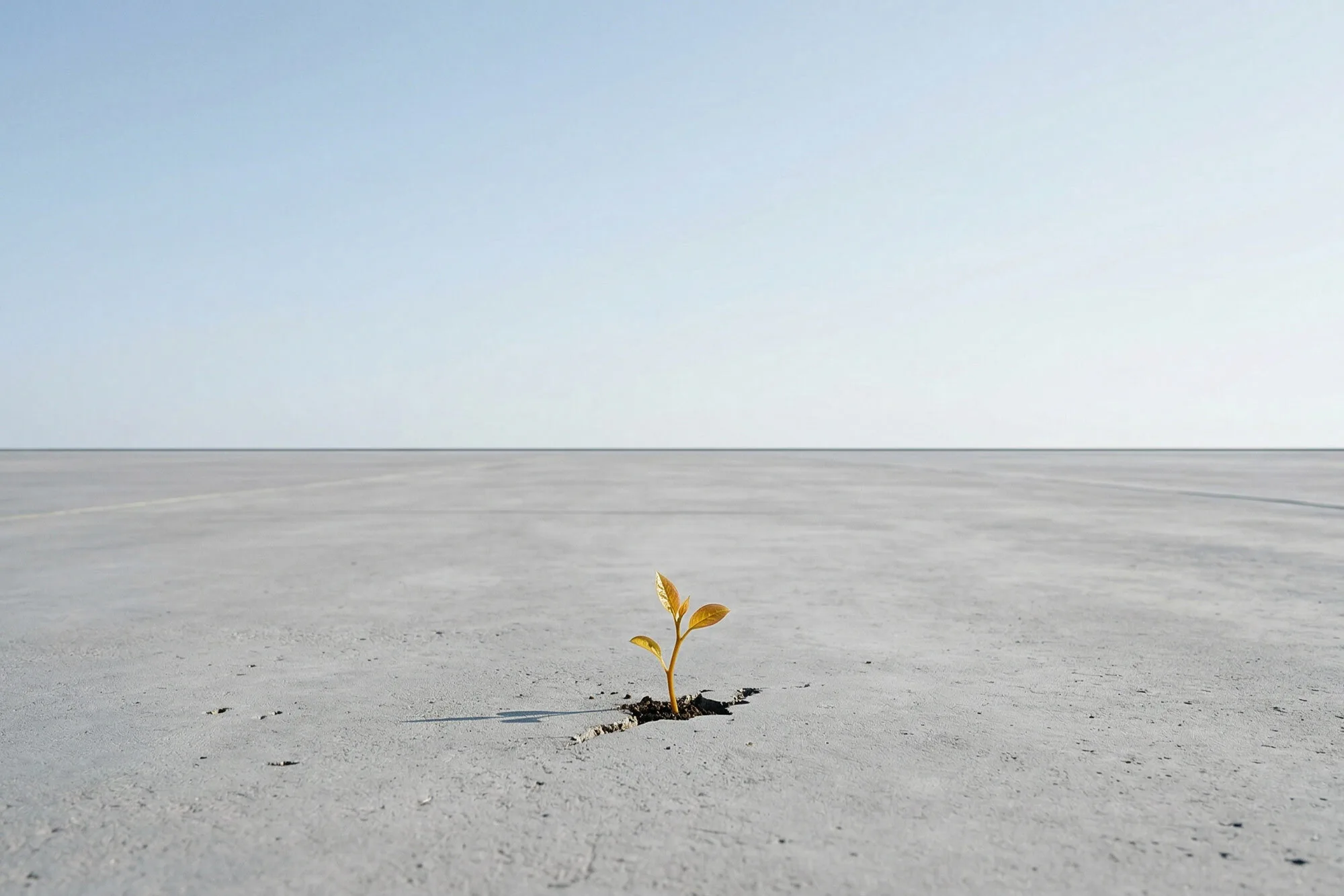 What Happens After a Website Launches? (And Why Most Agencies Disappear)