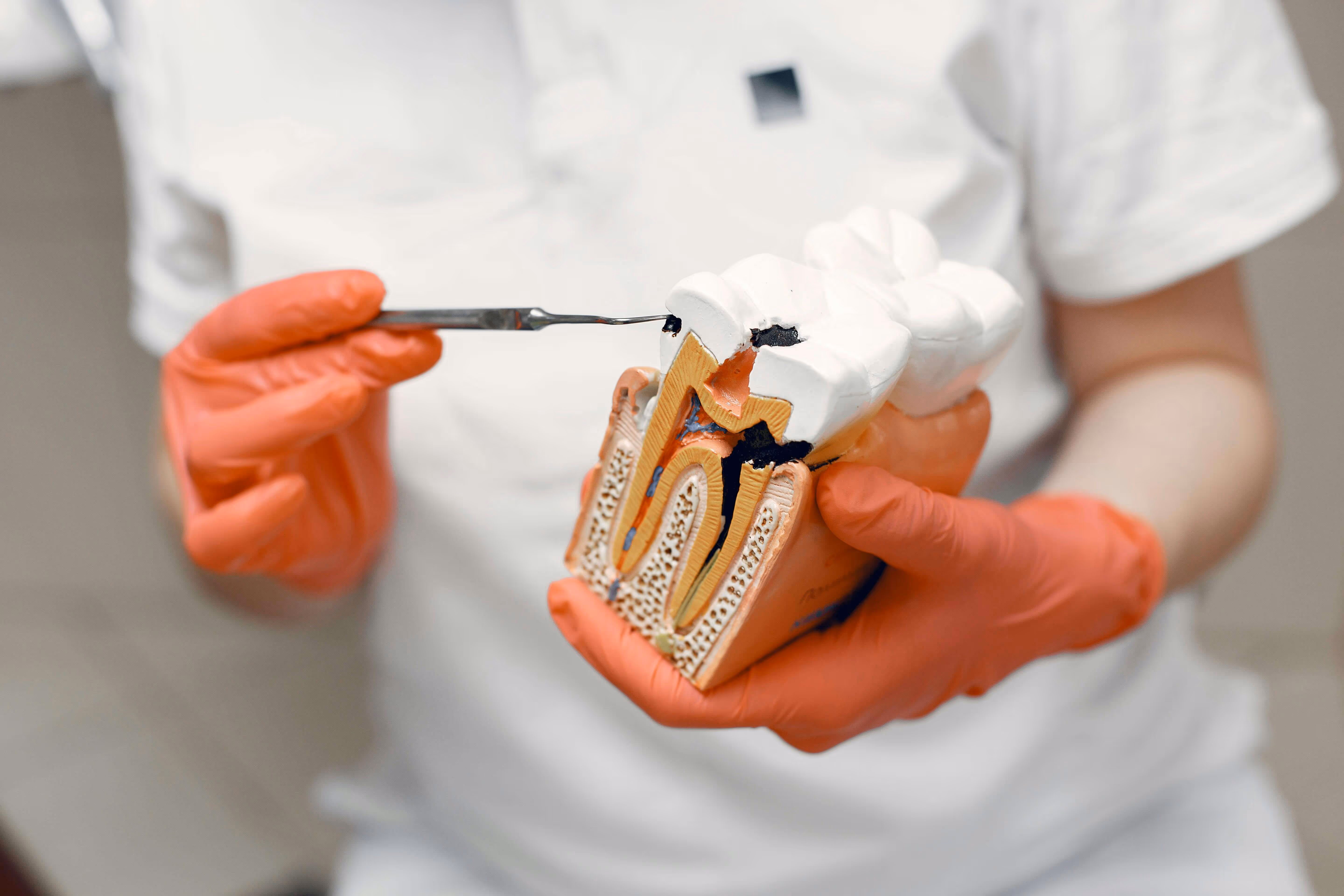 All About Root Canals in Tamworth: Pain-Free Options for Every Patient