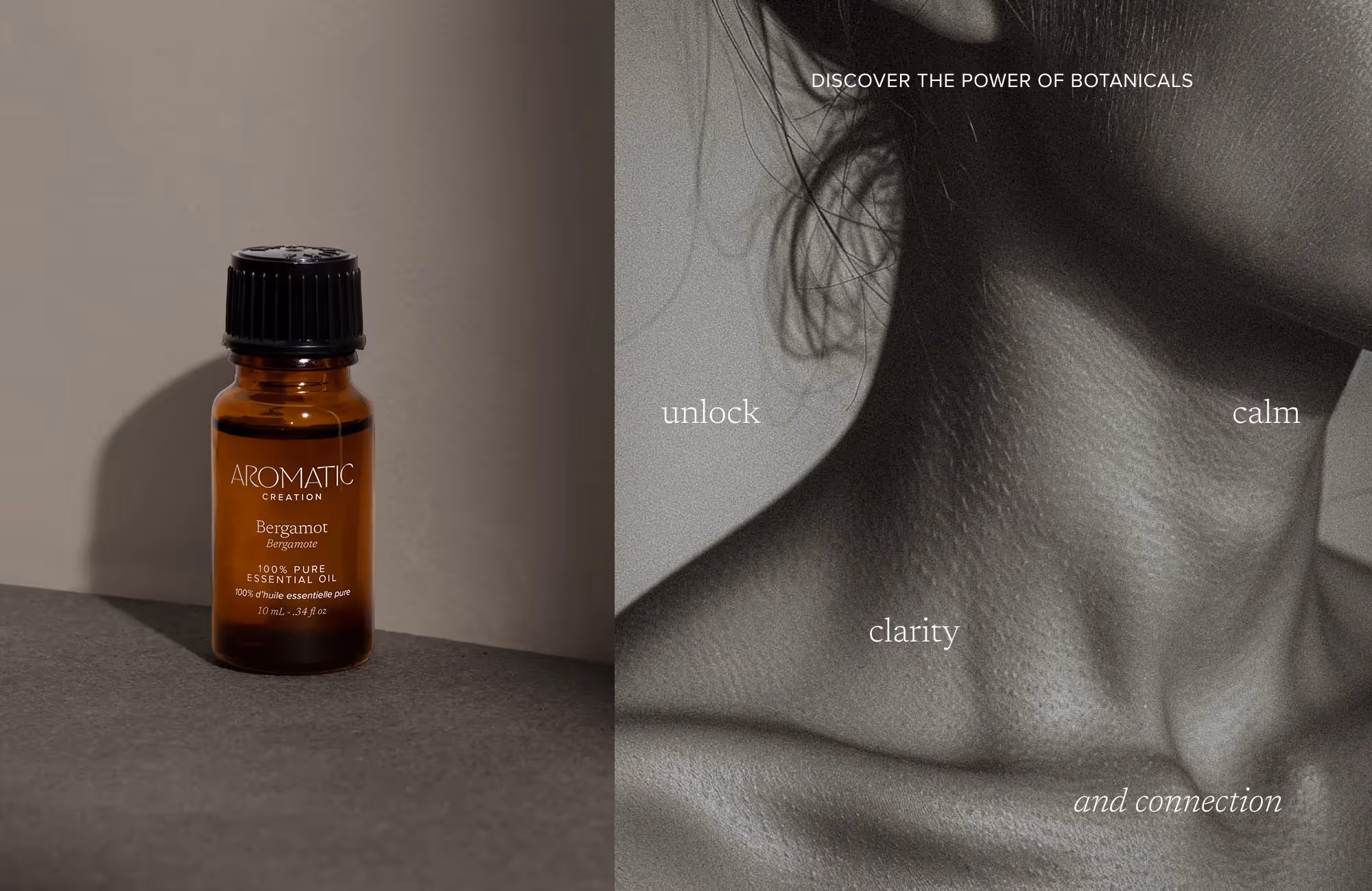 Aromatic Creation